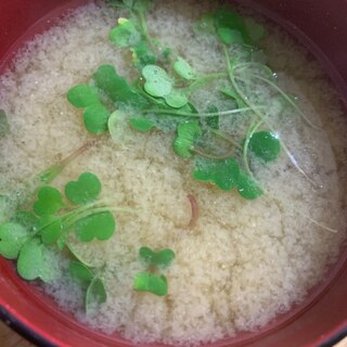 大根の間引き菜の味噌汁